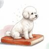 A small white curly-coated Bichon Frise sitting calmly on a cushion with a few flakes of dander lifting from its coat
