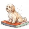 A small silky-coated Havanese sitting calmly on a cushion with a few flakes of dander lifting from its coat