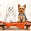 A white long-coated Maltese and a steel-blue and tan Yorkshire Terrier sitting side by side on a low bench